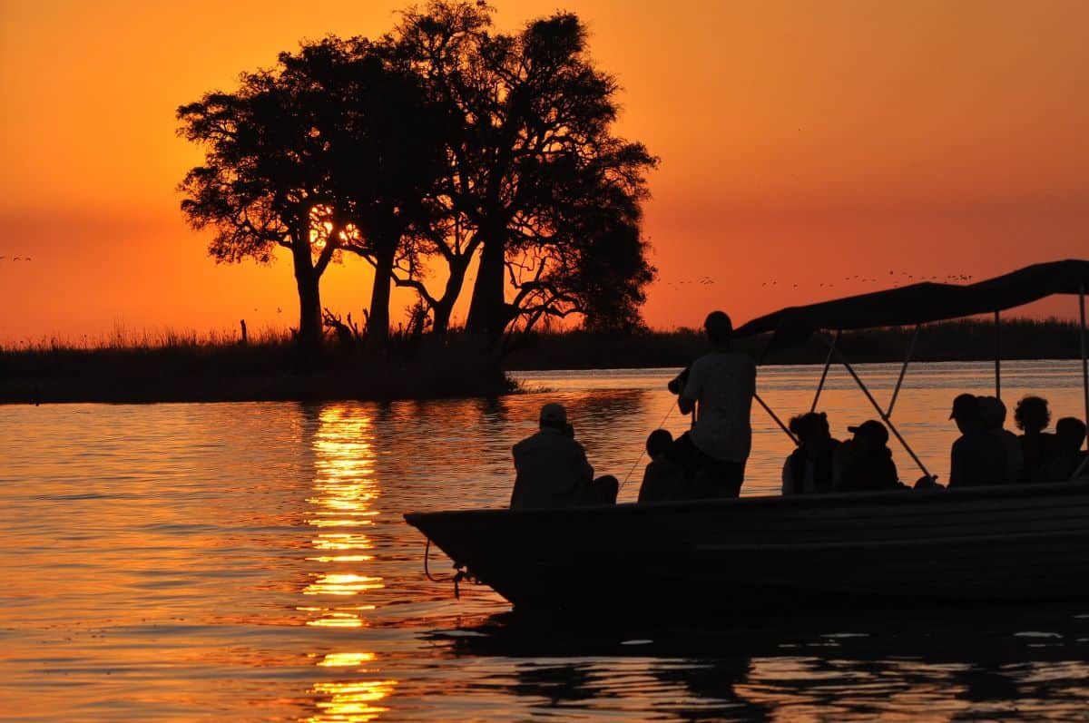 safari en bateau au Nyerere