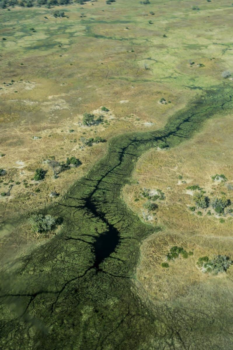  delta de l’Okavango