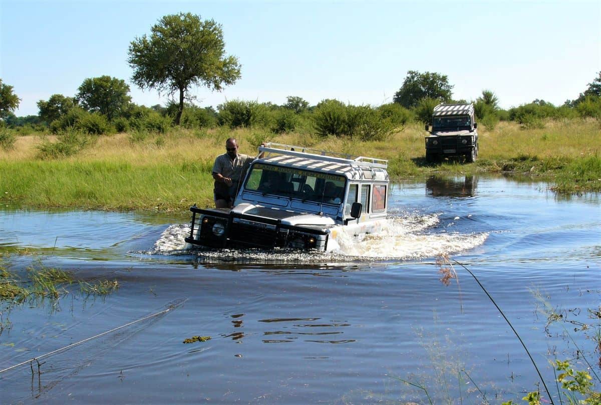 safari en 4*4 au Nyerere 