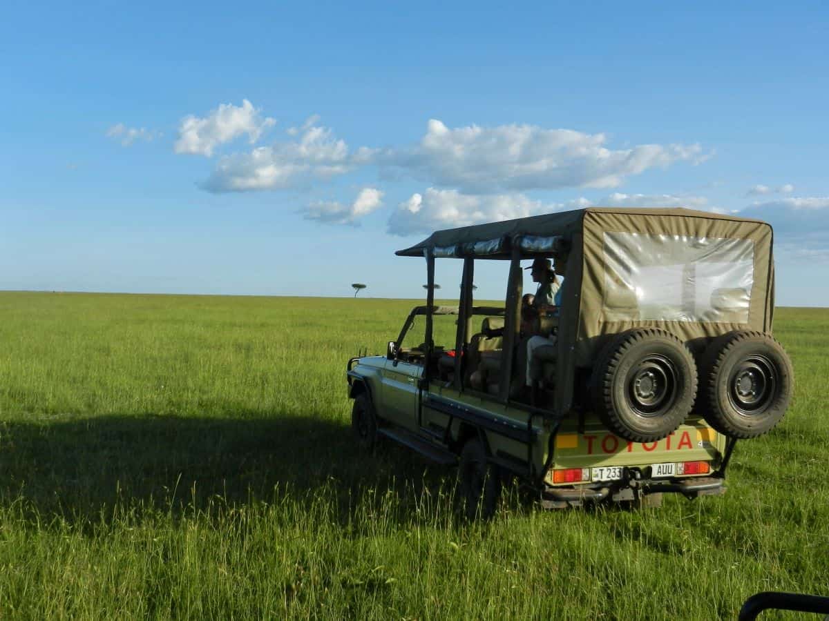 safari au mozambique