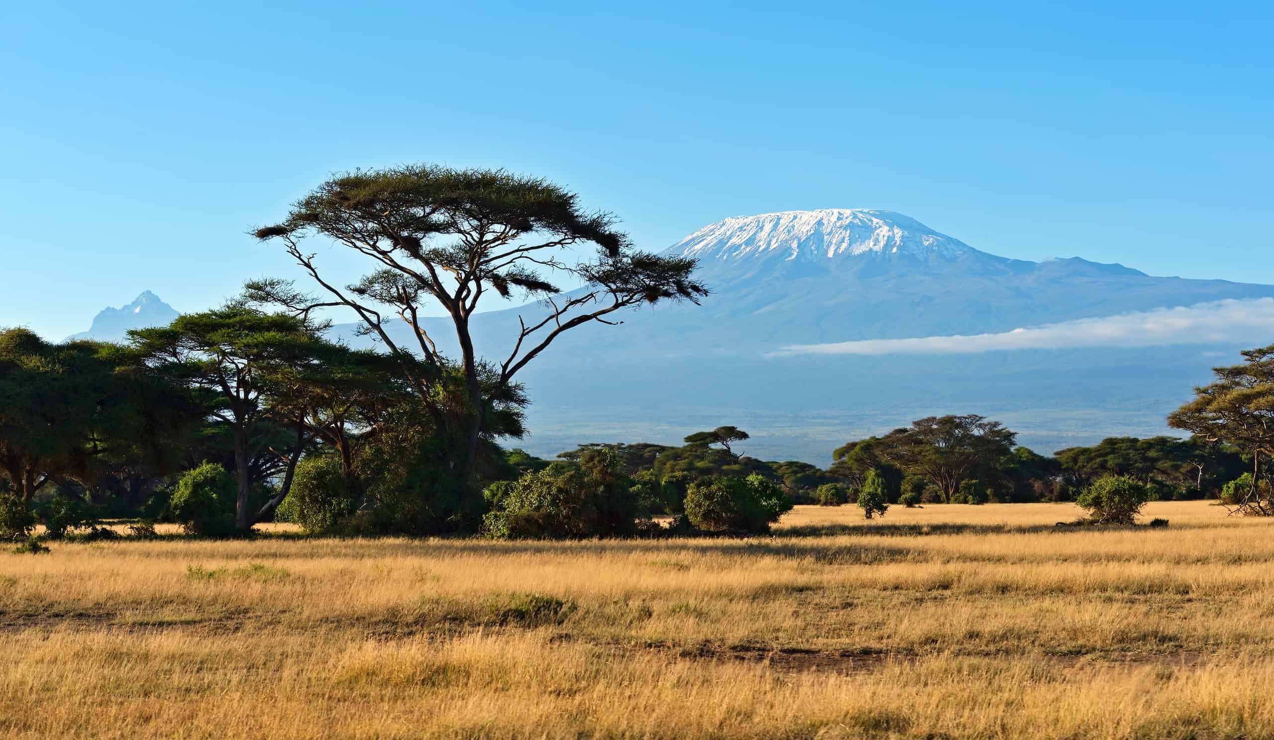 Amboseli National Park Safari | Fees, Activities [2024]