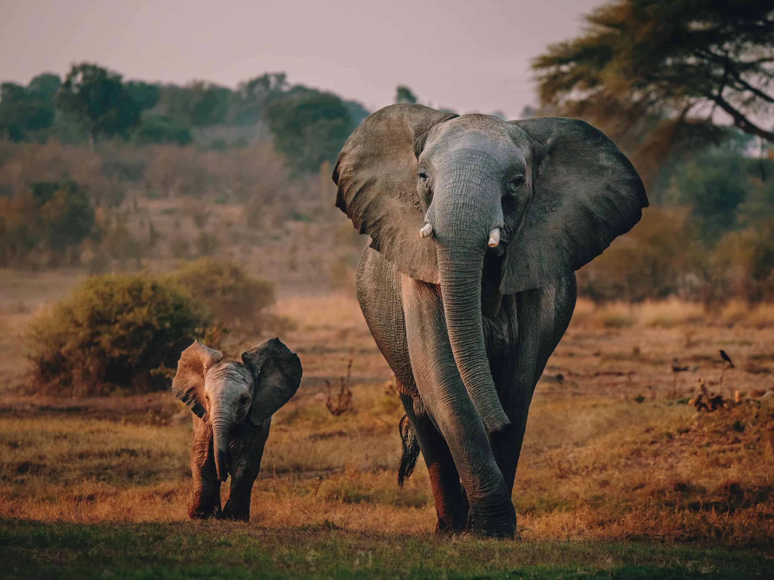 botswana safari weather