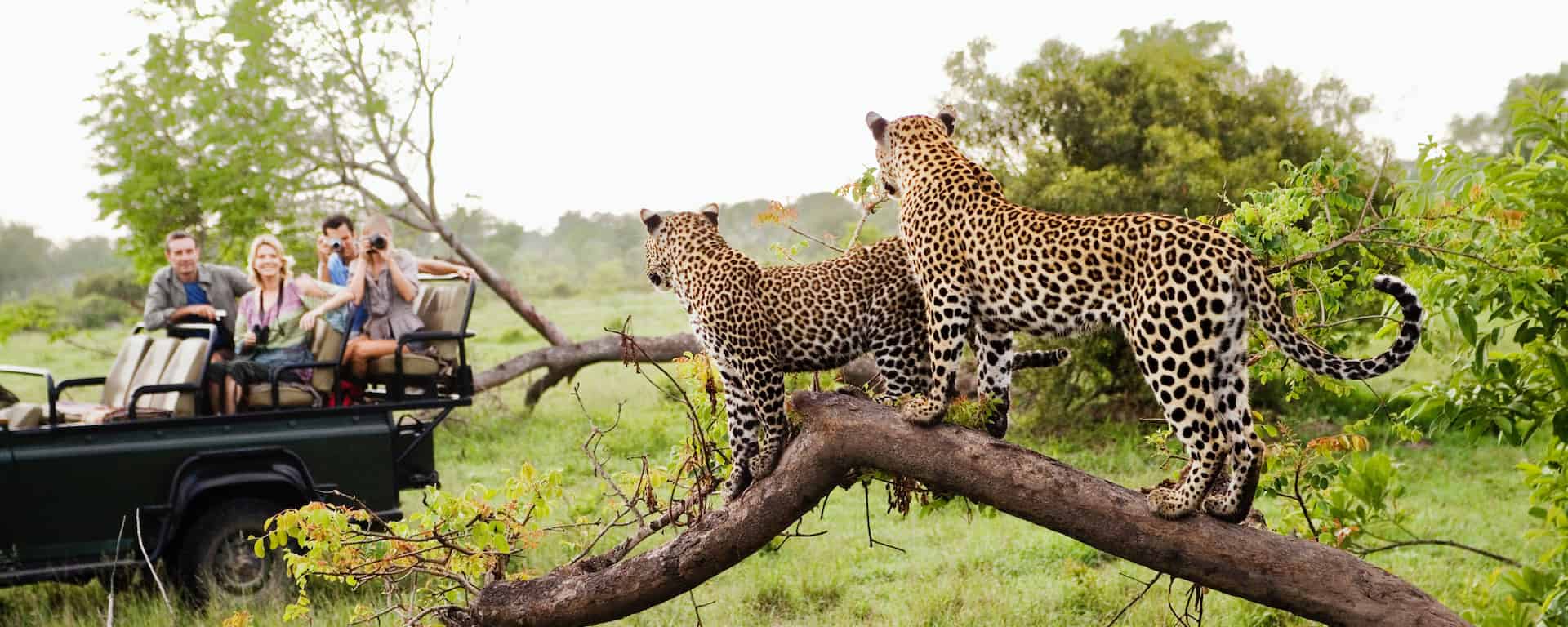 Best time to visit South Africa Month, weather, prices 2024