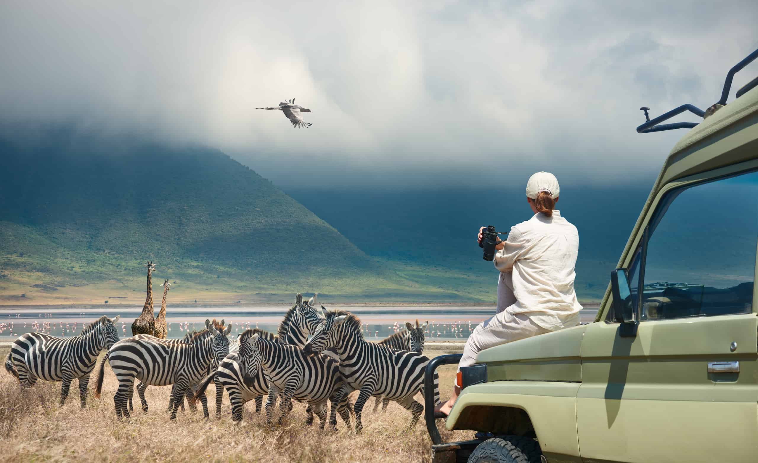 high season of tourism in tanzania