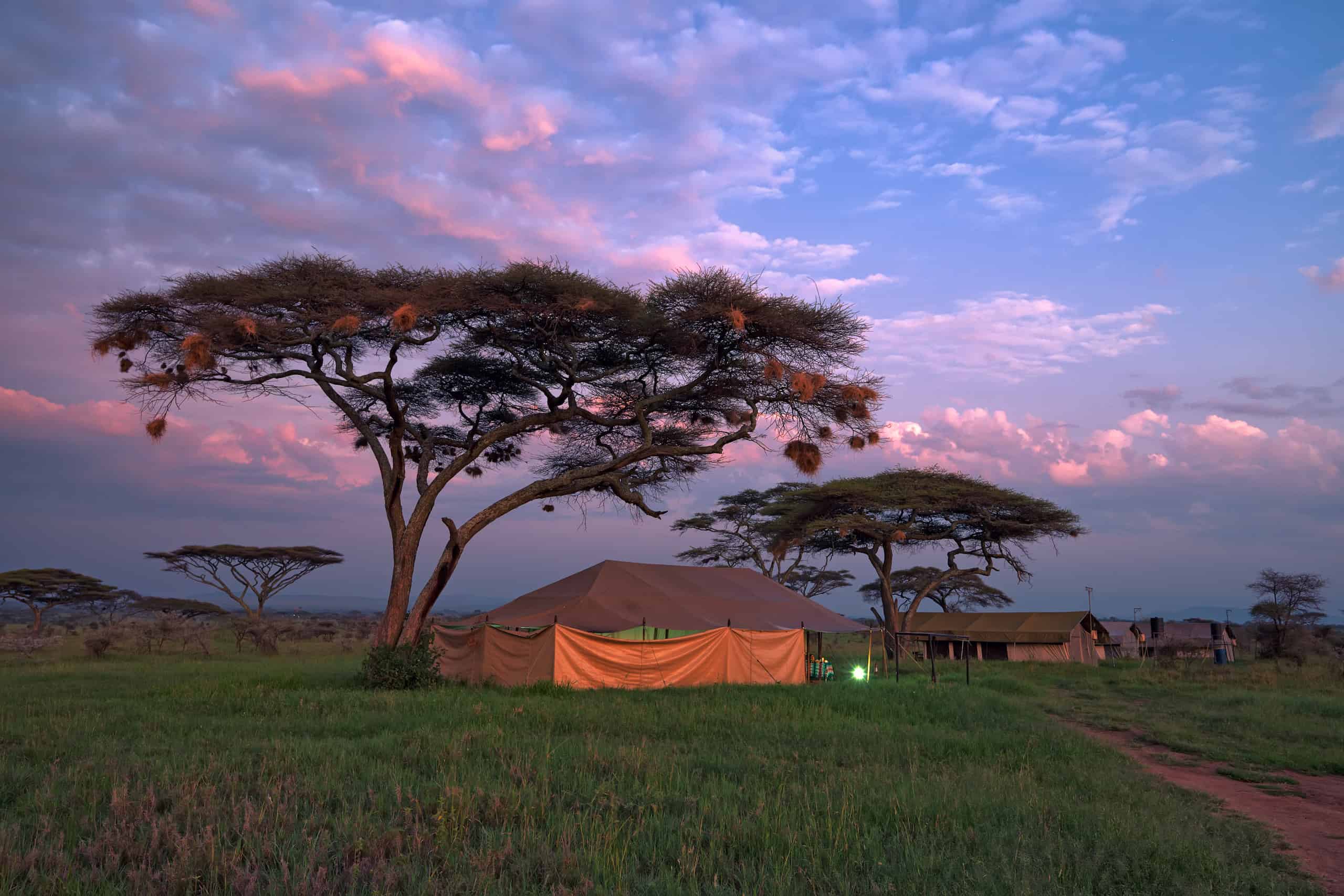 empfehlung botswana safari