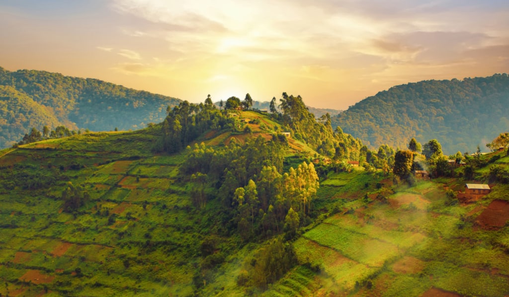 Bwindi Impenetrable landscape