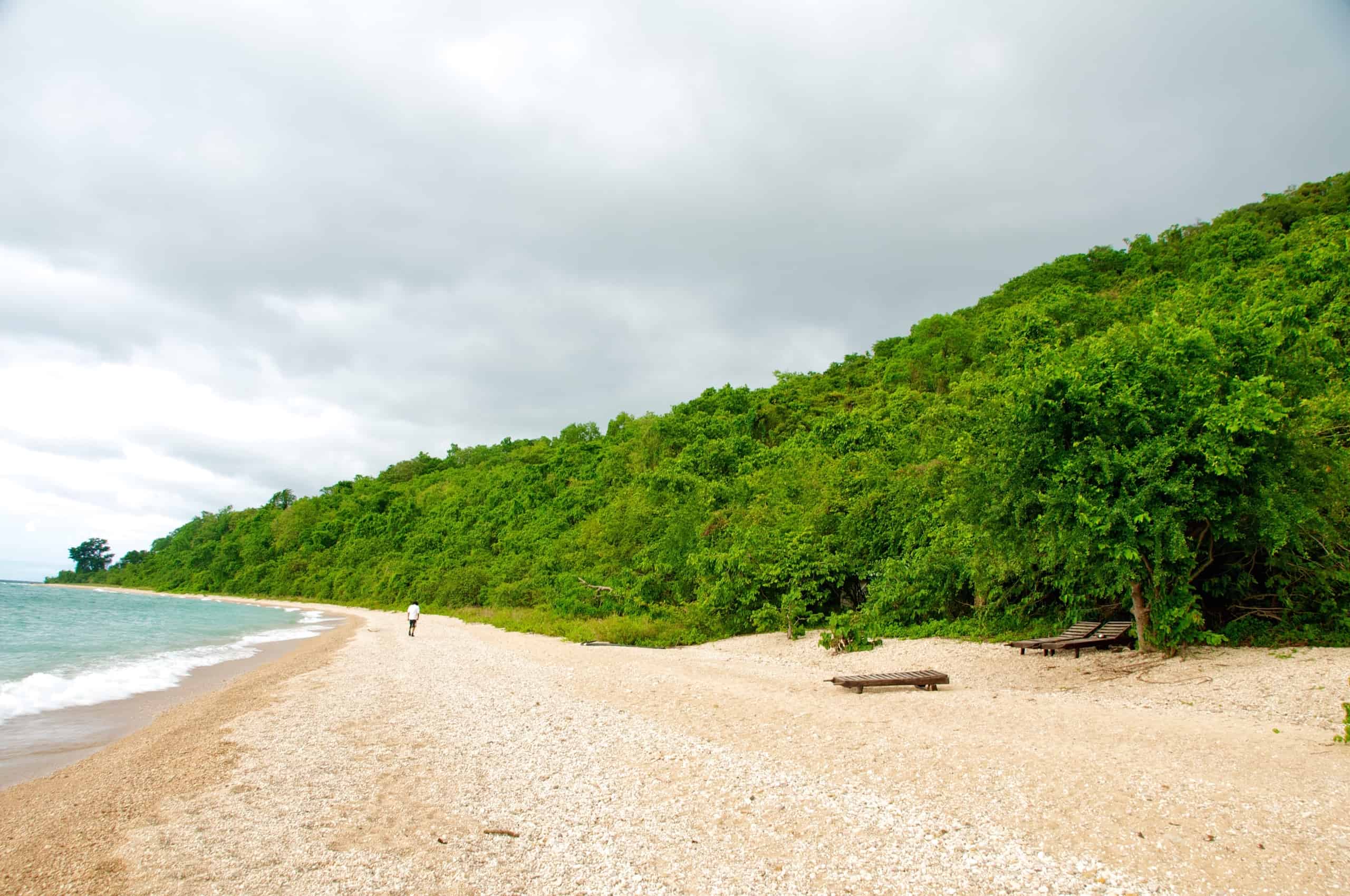 visit gombe stream national park