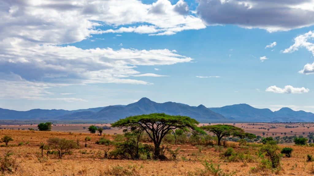 Kidepo Valley National Park landscape