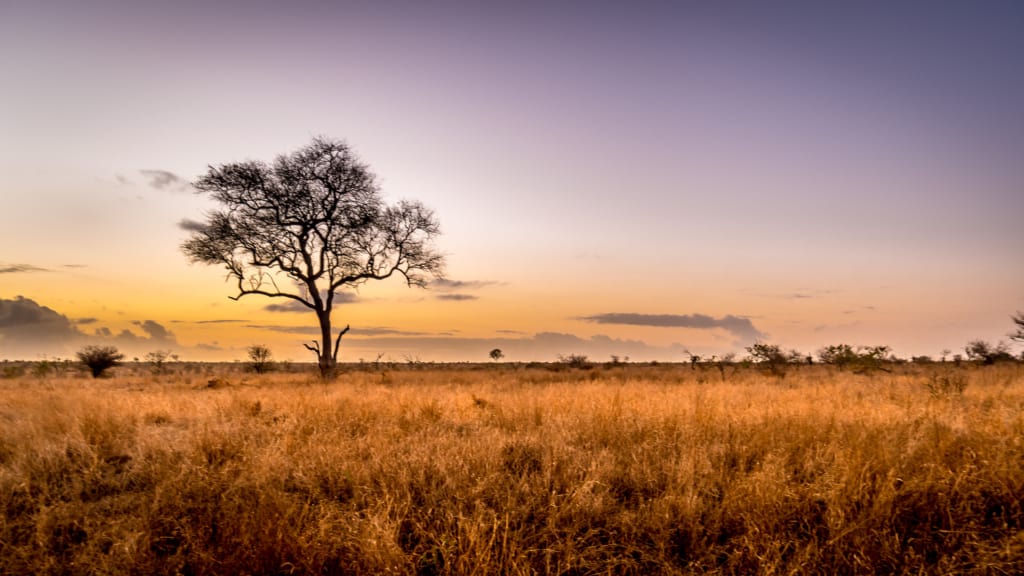 Kruger National Park landscape