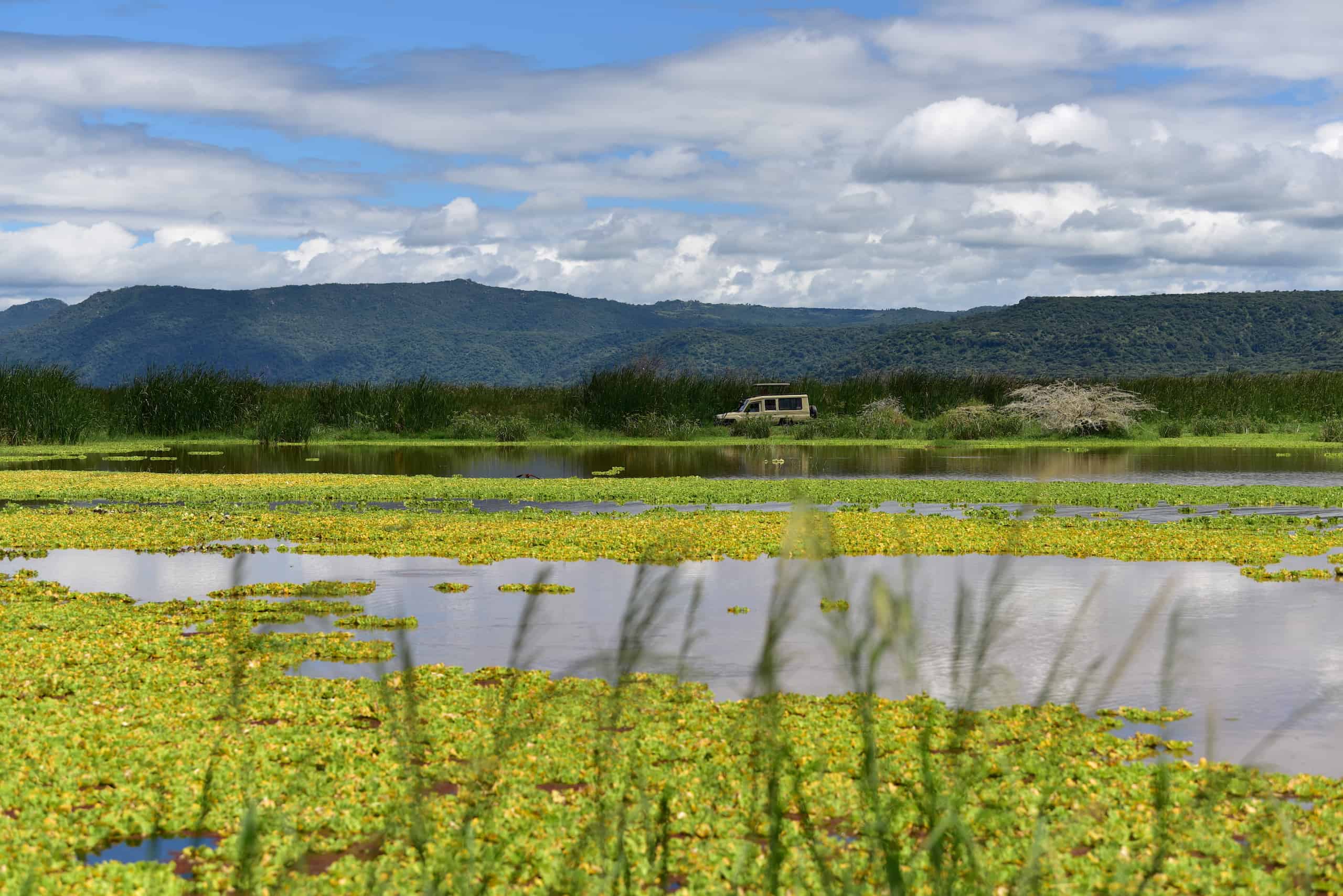 Lake Manyara National Park Safari Entry Fee Guide 2024   Lake Manyara NP 