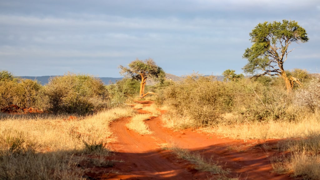 Madikwe Game Reserve landscape