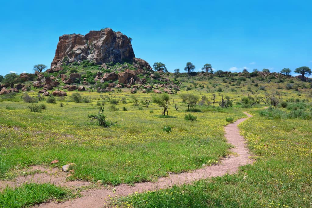 Mapungubwe National Park landscape