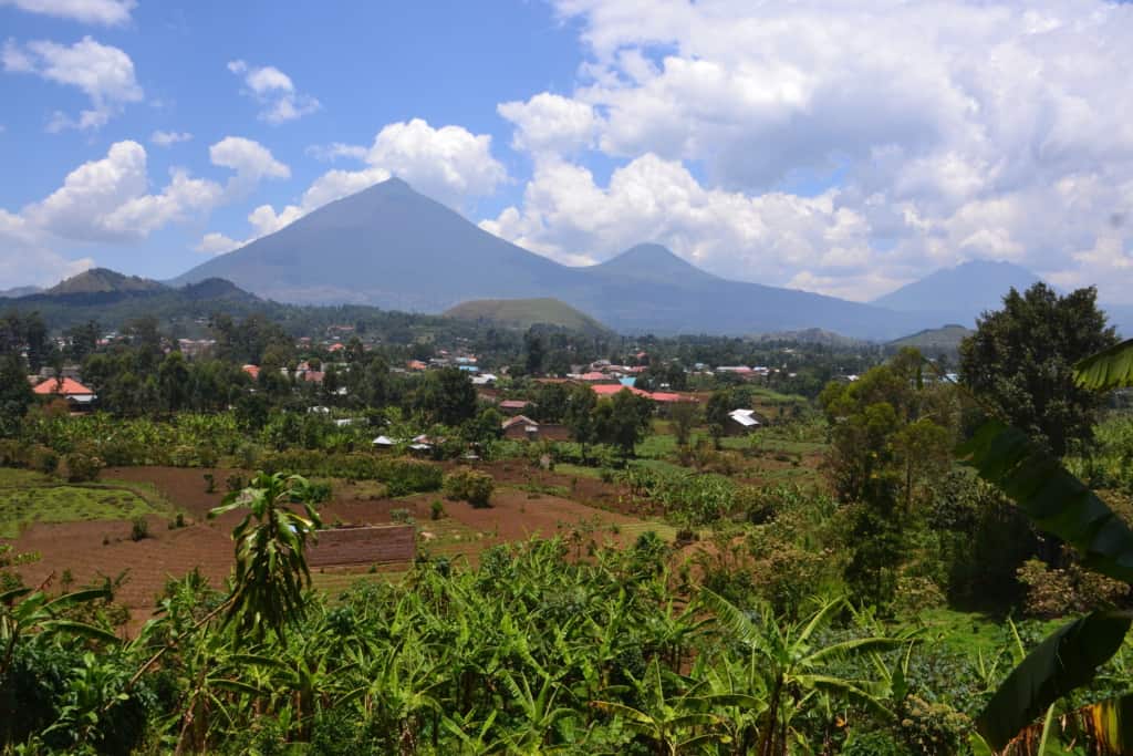 Mgahinga Gorilla National Park with green thicket and mountainous views