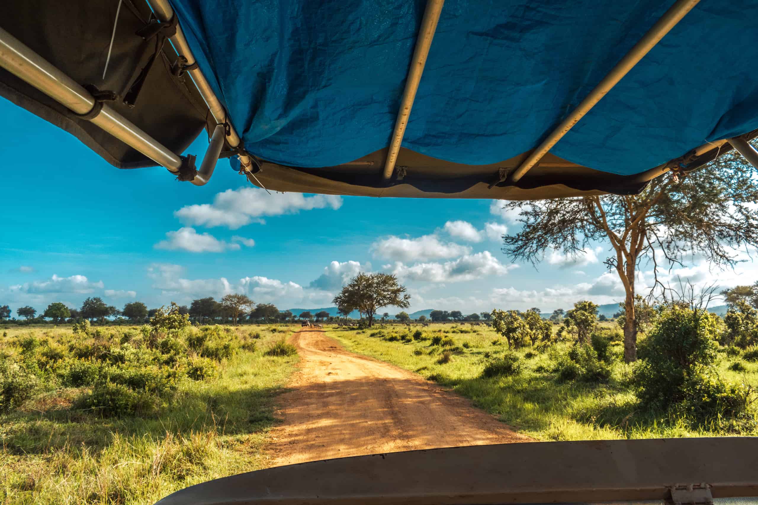 mikumi safari tanzania