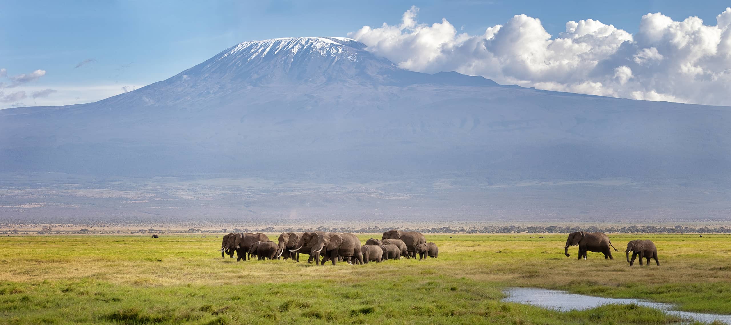 best safari near kilimanjaro