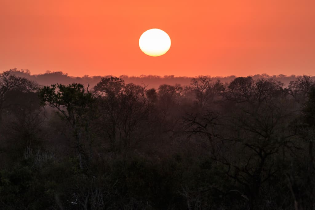 A stunning Sabi Sand Private Game Reserve sunrise