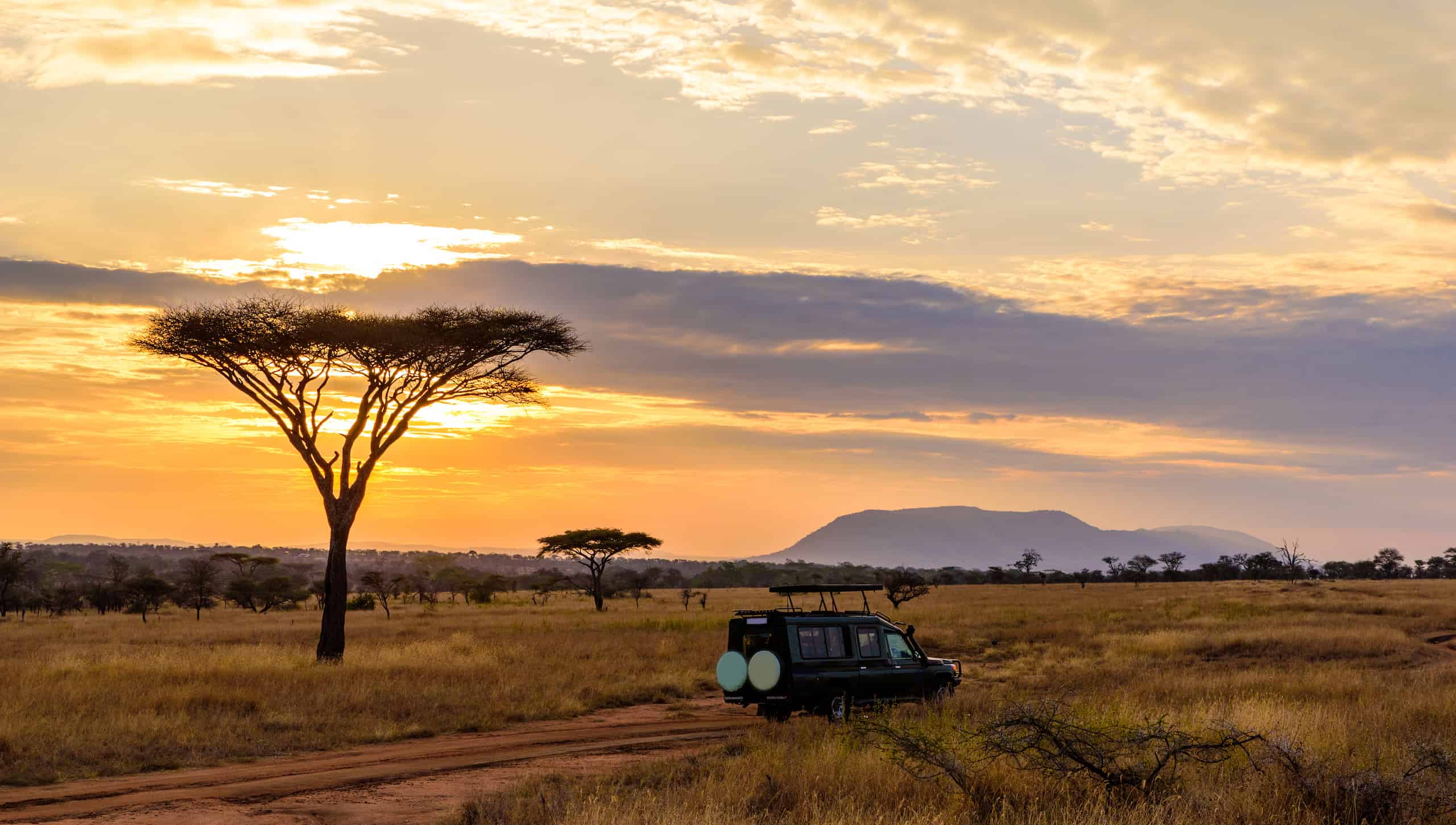 serengeti safari prices