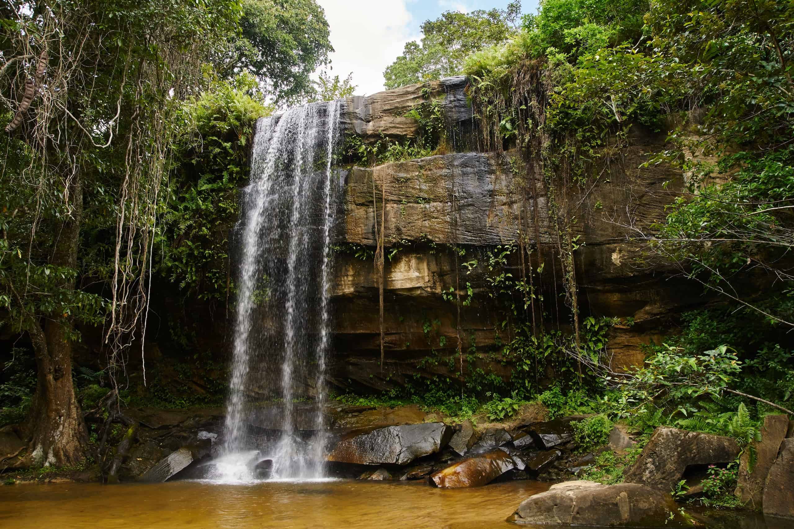 shimba hills safari