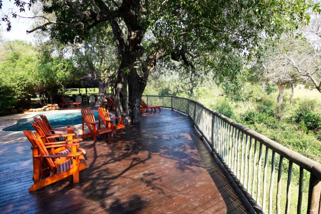 Private game reserve pool and deck chairs at main lodge in Sabi Sabi