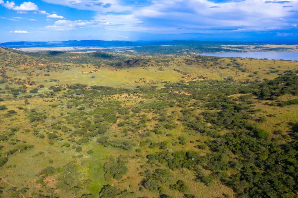 Spioenkop Game Reserve landcape