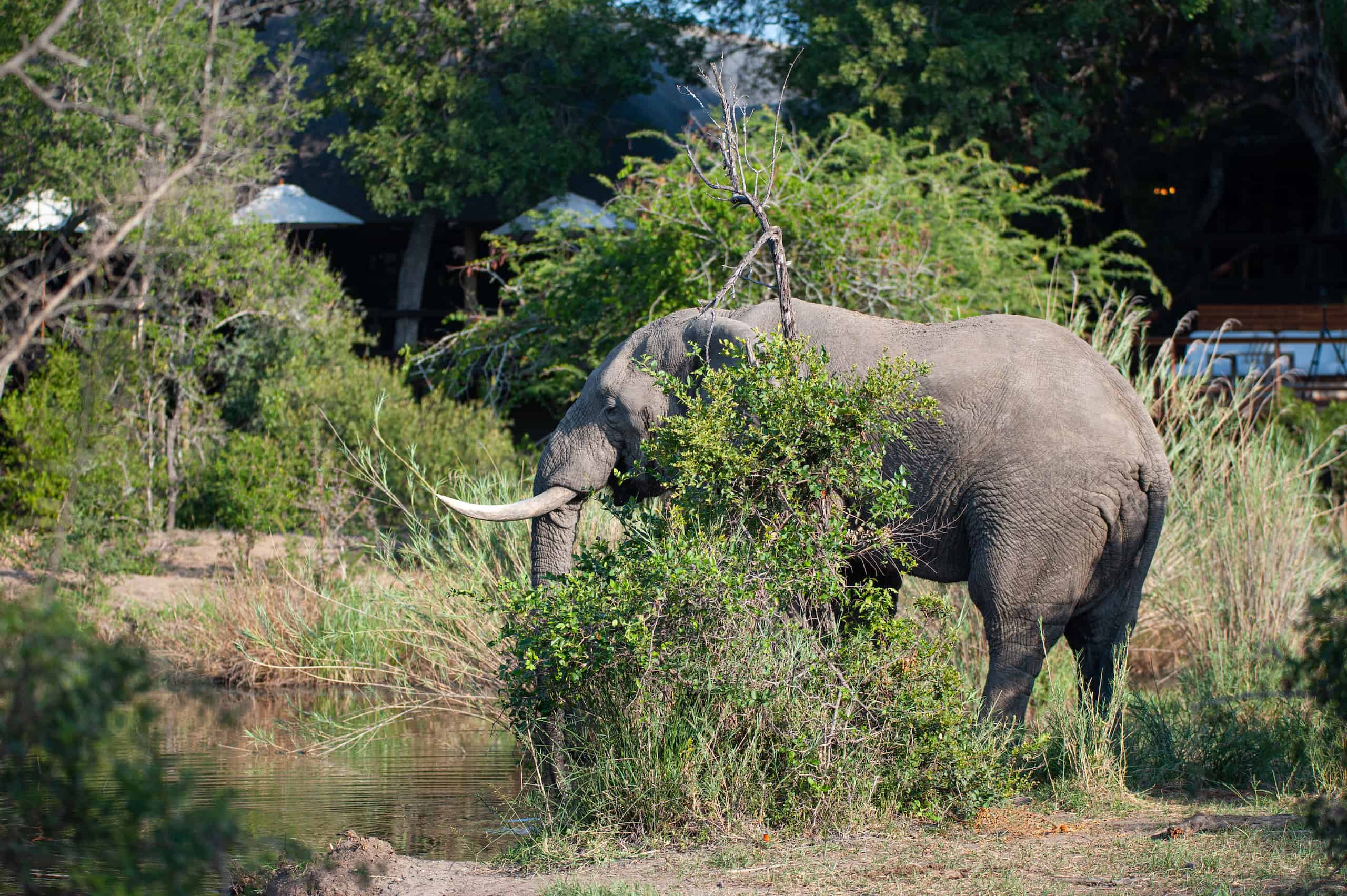 safari in tanzania cost