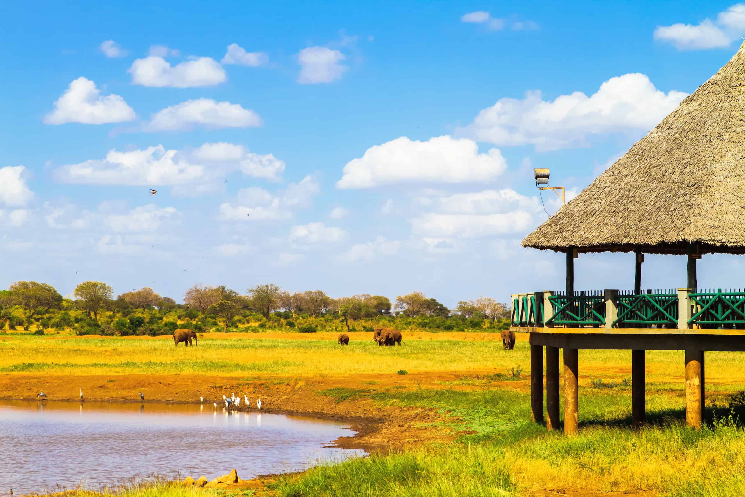 tsavo east safari from mombasa