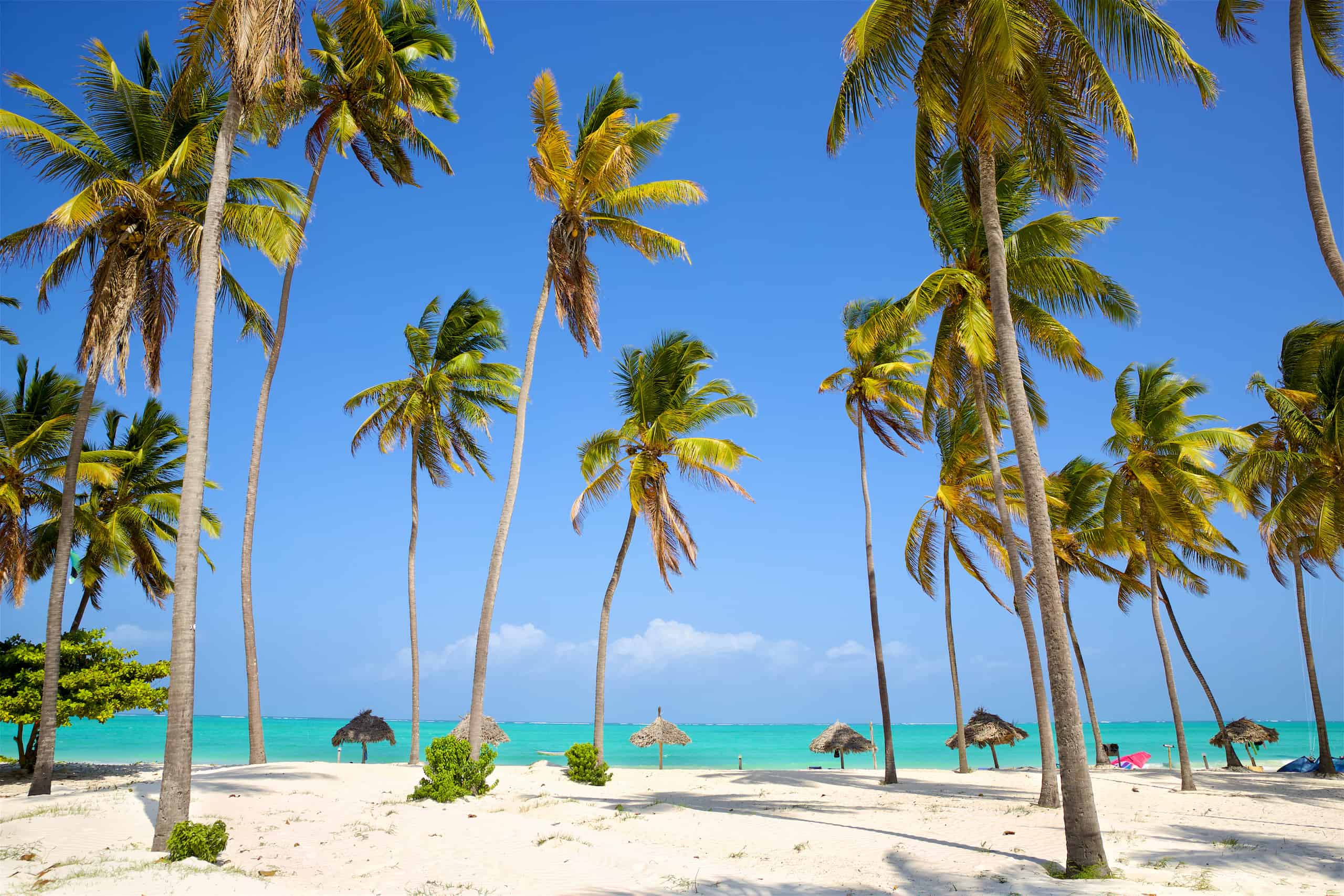 Unguja Island Guide Zanzibar Info Activities 2026 Unguja Island Guide Zanzibar Info Activities 2026
