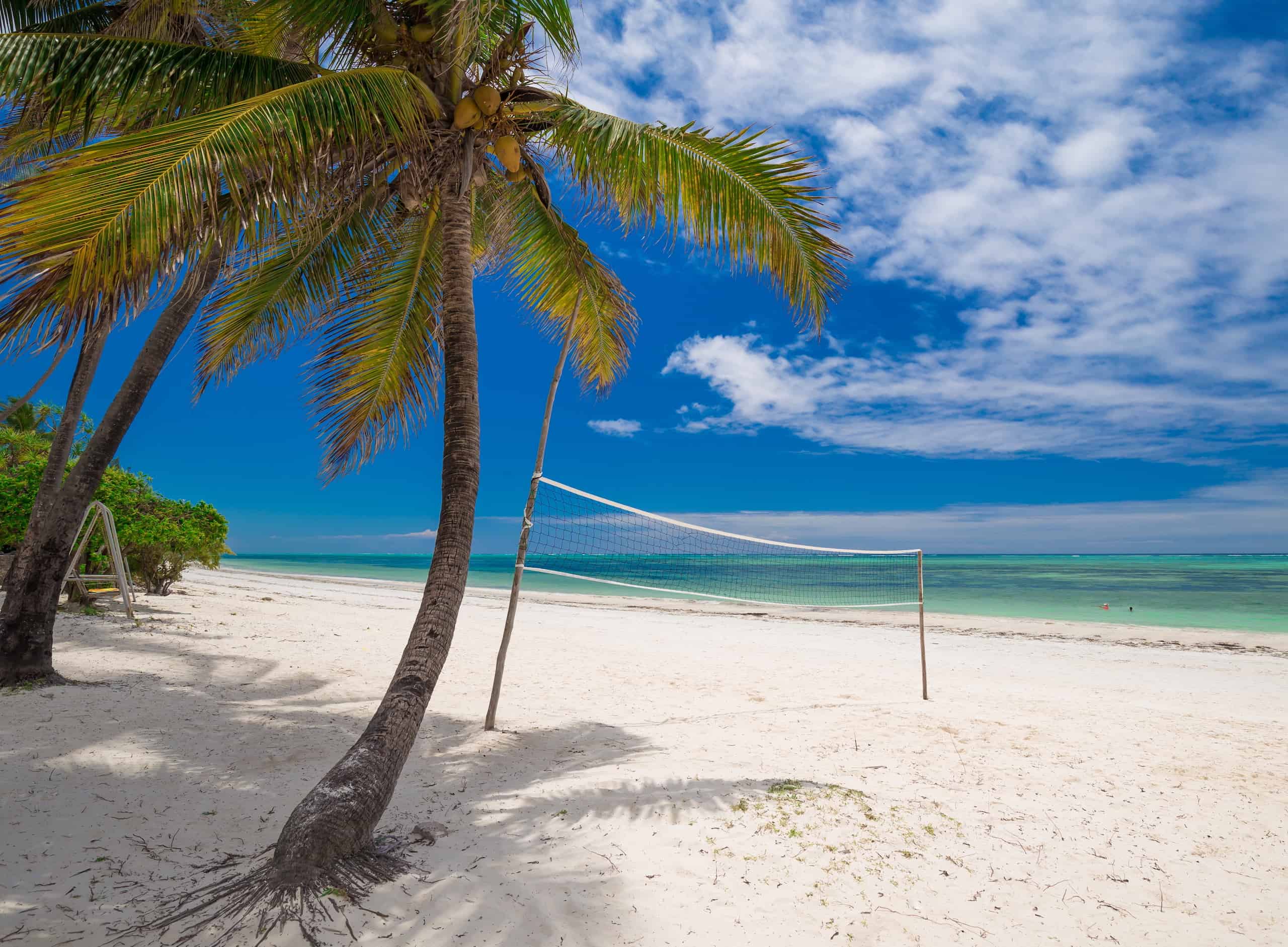 ocean safari zanzibar